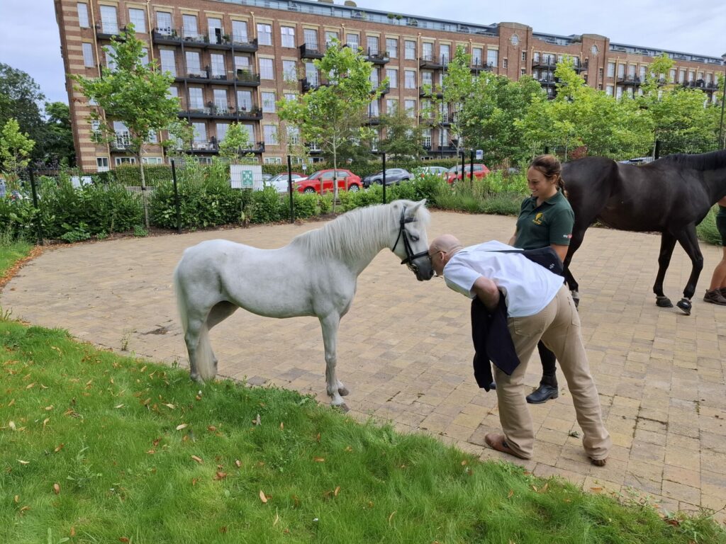 Retired Racehorse Remy Brings Joy and Therapy to People with Brain Injuries at York Neurological Centre Post image 1 Image name NathanandPoppy the 1 image from the post Retired Racehorse Remy Brings Joy and Therapy to People with Brain Injuries at York Neurological Centre in Yorkshire.com.