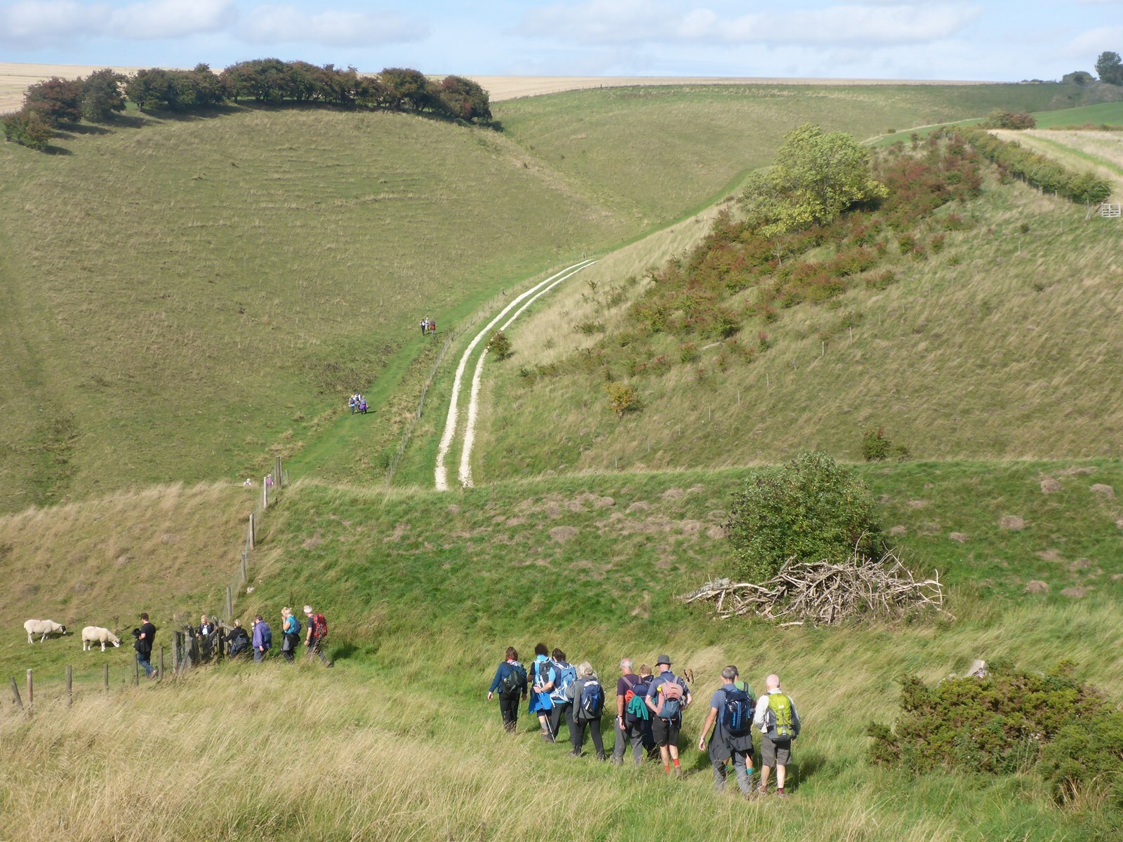 East Yorkshire walking festival