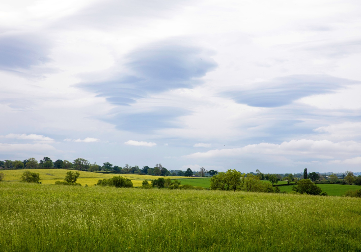 Image name fields near a66 the 1 image from the post Newsham, Richmondshire in Yorkshire.com.