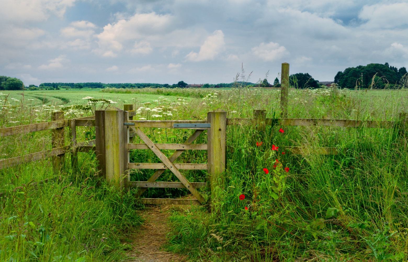 Newsletter: Friday 23rd August 2024 Post image 1 Image name gate on the minster way the 1 image from the post Newsletter: Friday 23rd August 2024 in Yorkshire.com.