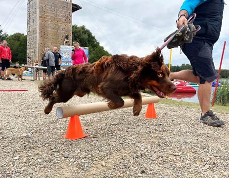 Dog Olympics At North Yorkshire Water Park: A Day Of Canine Competition And Fun Post image 1 Image name image004 4 1 the 1 image from the post Dog Olympics At North Yorkshire Water Park: A Day Of Canine Competition And Fun in Yorkshire.com.