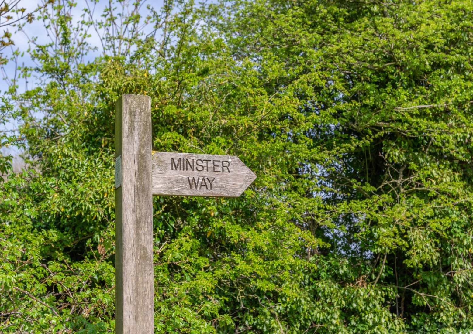 Image name minster way wooden post sign the 14 image from the post Walk: Minster Way in Yorkshire.com.