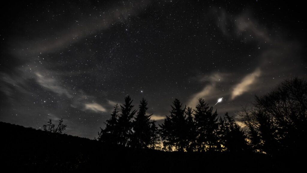 Image name Dalby Forest dark skies NYM cSteve Bell the 1 image from the post Dark Skies Fringe Festival at Dalby Forest in Yorkshire.com.