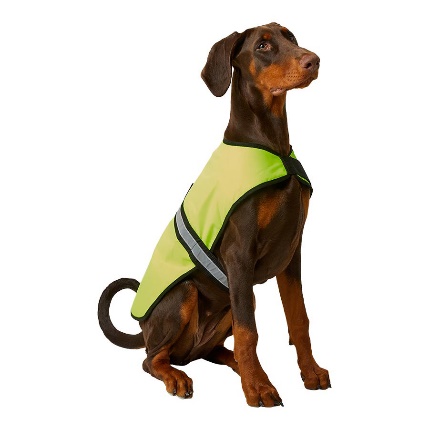 Why You Should Keep Your Dog Away from Conkers and Acorns This Autumn Post image 2 Image name image001 the 2 image from the post Why You Should Keep Your Dog Away from Conkers and Acorns This Autumn in Yorkshire.com.