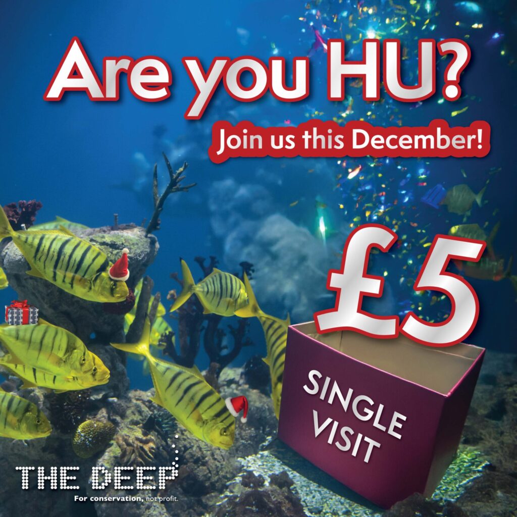 What’s HU Locals Getting For Christmas? Post image 1 The Deep