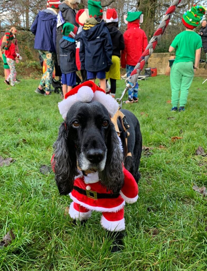 Mental Elf 5K in Knaresborough Brings Festive Fun and Funds for Mental Health Post image 2 Image name 10 the 2 image from the post Mental Elf 5K in Knaresborough Brings Festive Fun and Funds for Mental Health in Yorkshire.com.