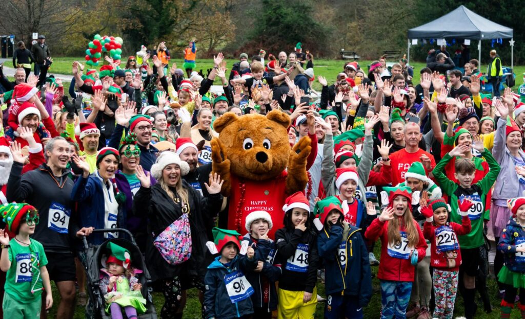 Newsletter: Saturday 14th December 2024 Post image 3 mental elf