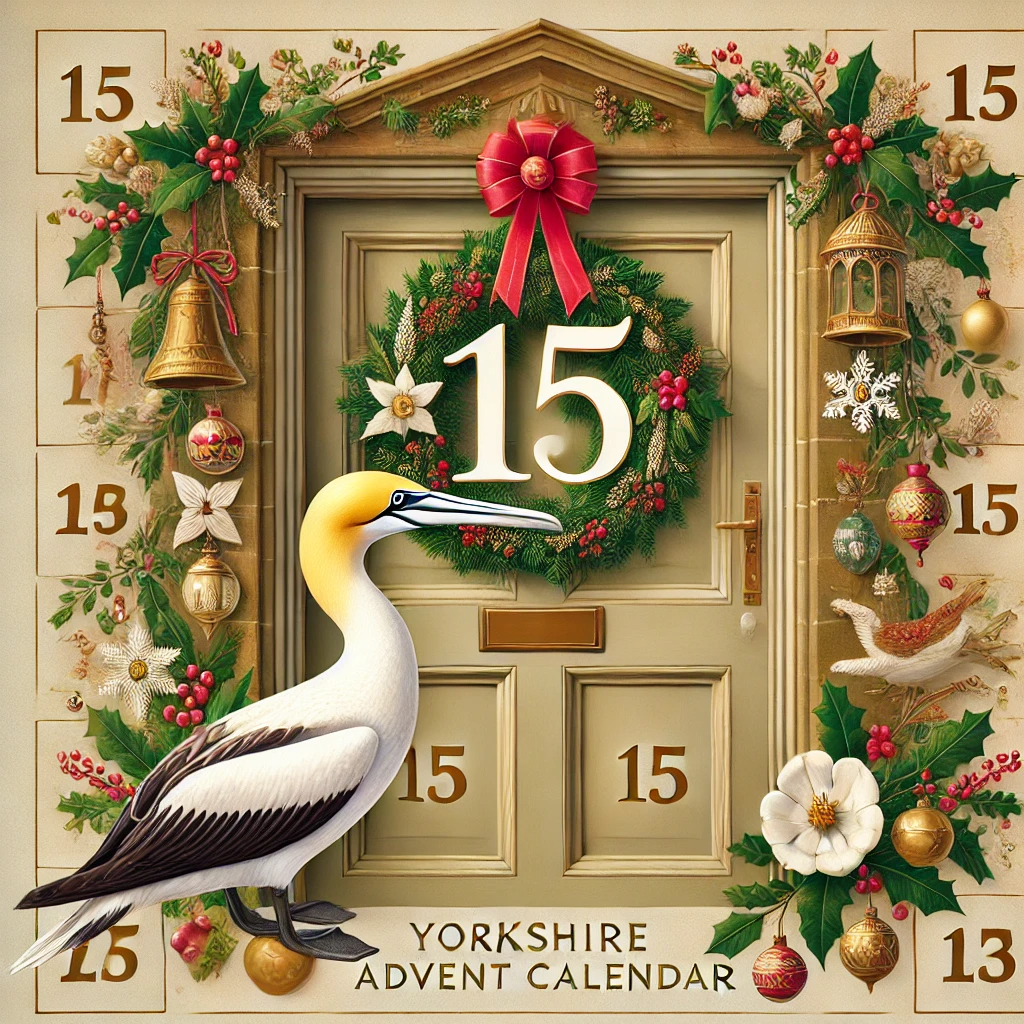 Image name advent 2024 day 15 gannet the 28 image from the post Day 15 – Christmas 2024 in Yorkshire.com.