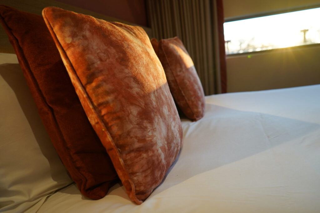 Image name DSC00527 the 3 image from the post Yorkshire Wildlife Park Hotel Adds 25 New Rooms: What’s New at the Hex Wildlife Hotel? in Yorkshire.com.