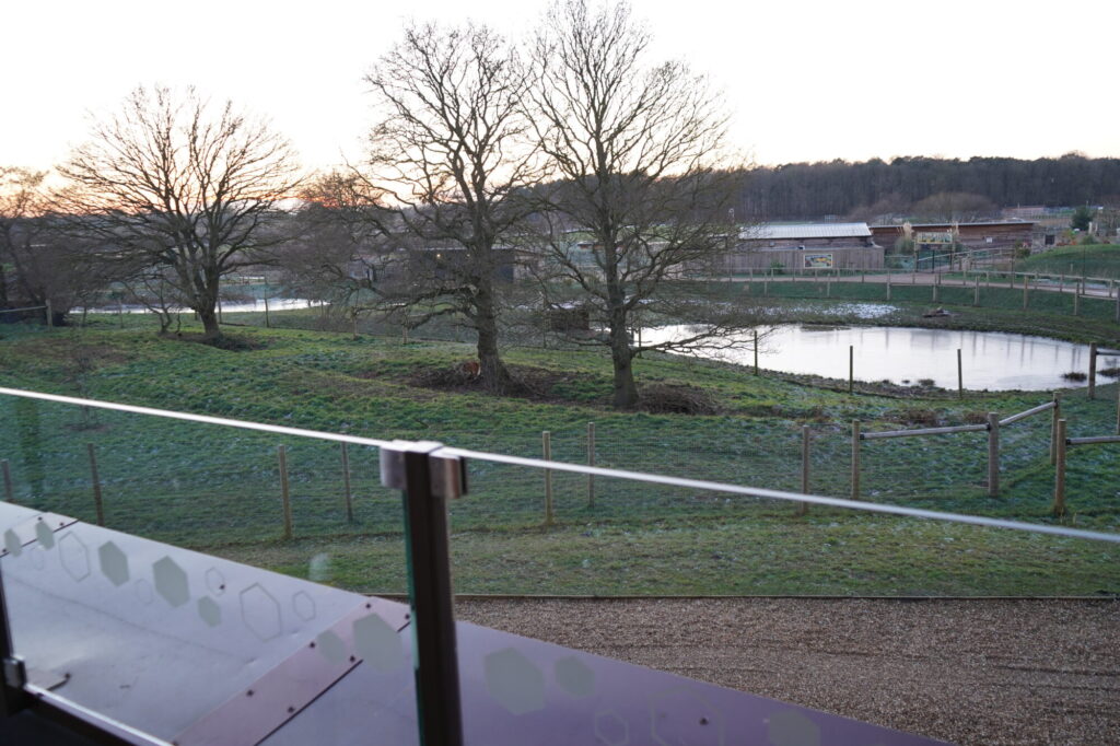 Image name DSC00564 the 4 image from the post Yorkshire Wildlife Park Hotel Adds 25 New Rooms: What’s New at the Hex Wildlife Hotel? in Yorkshire.com.