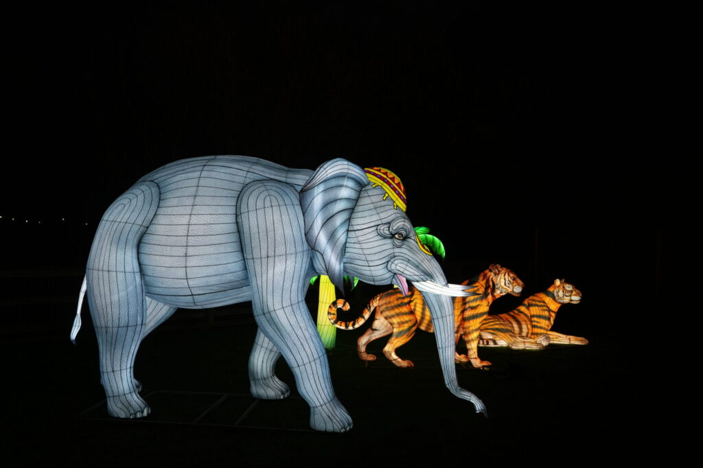 What’s On At Yorkshire Wildlife Park In 2025? Events, Concerts, And Fun For All Ages Post image 2 Image name DSC01867 the 1 image from the post What’s On At Yorkshire Wildlife Park In 2025? Events, Concerts, And Fun For All Ages in Yorkshire.com.