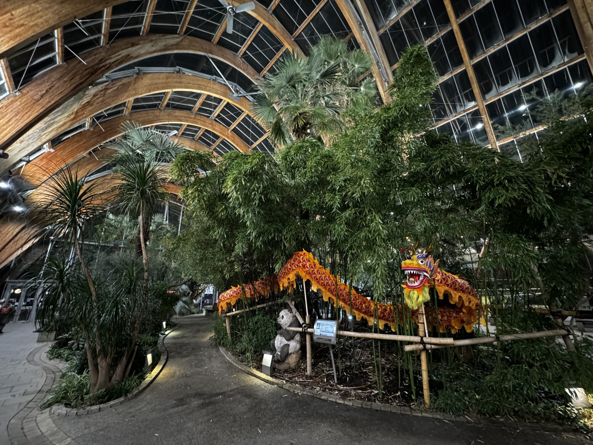 Newsletter: Friday 31st January 2025 Post image 2 Image name Winter Garden Dragon credit Timm Cleasby 1 the 2 image from the post Newsletter: Friday 31st January 2025 in Yorkshire.com.