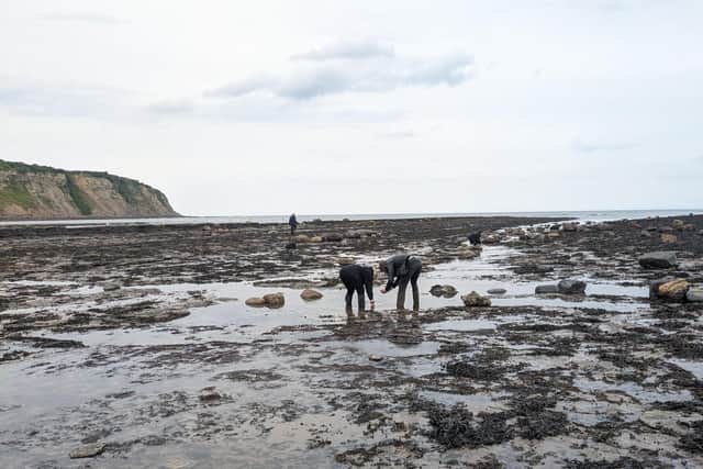 Image name lobster sightin survey the 1 image from the post How to Join Yorkshire's New Lobster Survey and Help Protect Our Oceans in Yorkshire.com.