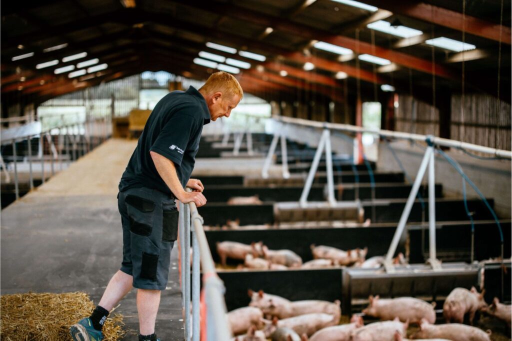 Image name Hugh Shedden Shedden Farms Shipton Yorkshire Credit Chris Werrett 02 1 the 1 image from the post Yorkshire Pig Farm Leads the Way in Sustainable Agriculture – Here’s How in Yorkshire.com.