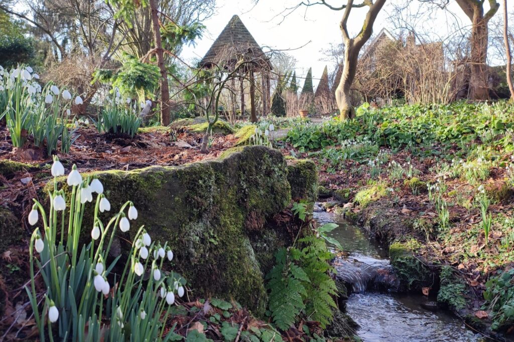 Historic Arbour at York Gate Garden Restored Just in Time for Snowdrop Days Post image 1 Image name Snowdrops in The Dell at York Gate with the folly behind photo by garden trainee Sian the 1 image from the post Historic Arbour at York Gate Garden Restored Just in Time for Snowdrop Days in Yorkshire.com.