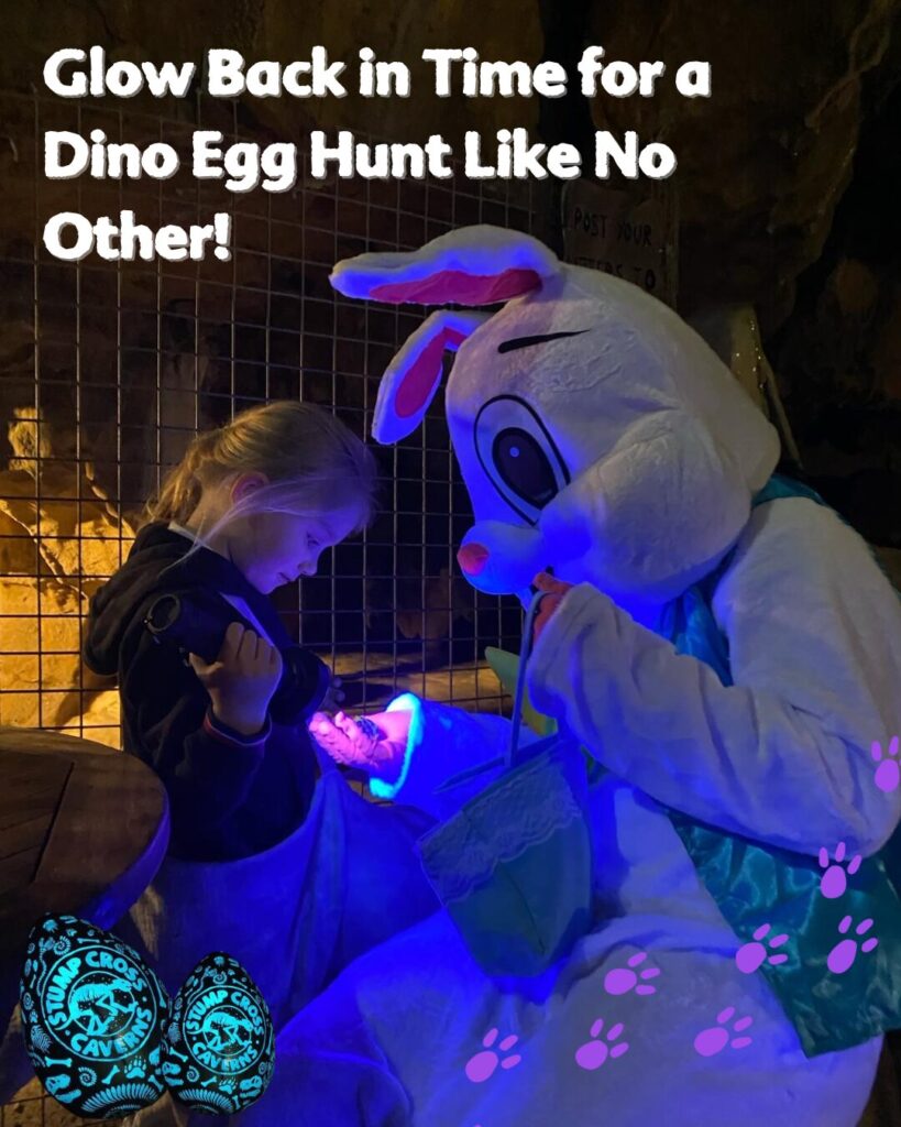 Easter in Yorkshire 2025: Family Activities, Egg Hunts, and Spring Events Post image 2 Image name Glow Back in Time for a Dino Egg Hunt Like No Other the 1 image from the post Easter in Yorkshire 2025: Family Activities, Egg Hunts, and Spring Events in Yorkshire.com.