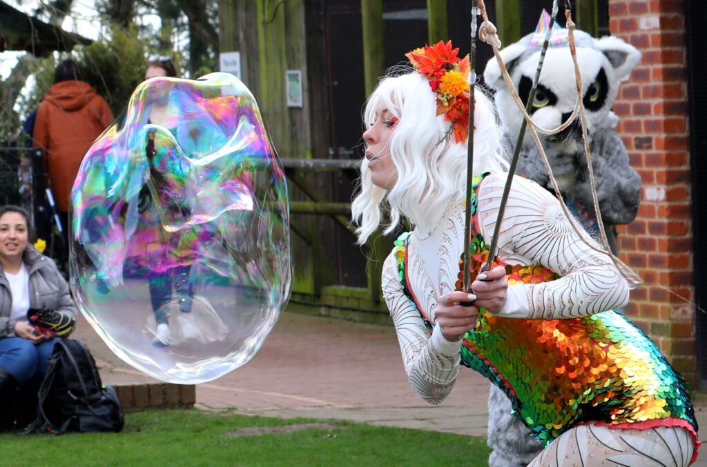 Name a Butterfly After Your Mum This Mother's Day at Tropical Butterfly House ? Post image 2 TBH Bubble Display