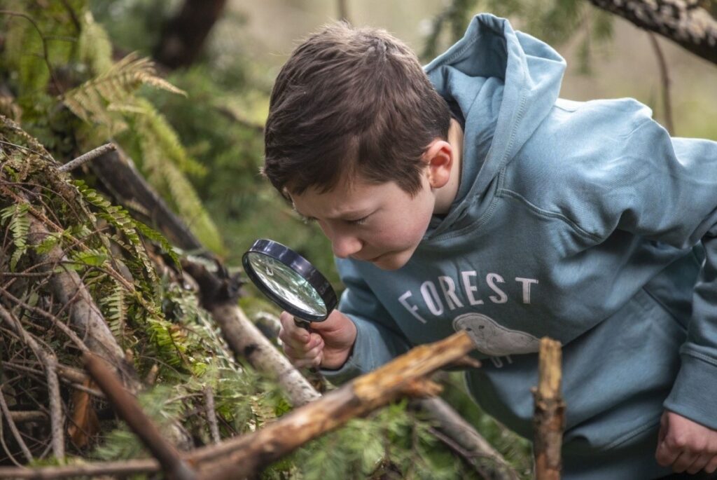 Why are Kids in Yorkshire Struggling to Spot a Beetle? Forest Holidays' Ugly Bug Hunts Might Help Post image 1 Image name image002 1 the 1 image from the post Why are Kids in Yorkshire Struggling to Spot a Beetle? Forest Holidays' Ugly Bug Hunts Might Help in Yorkshire.com.