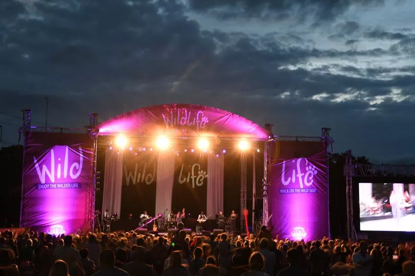 YWP concerts