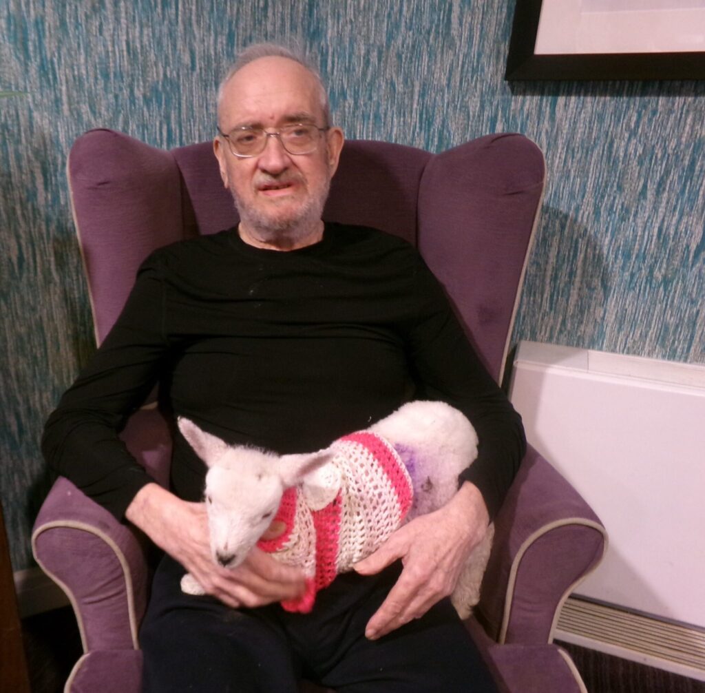 Image name Lambs 15 the 2 image from the post Baby Lambs Bring Joy to York Care Home Residents in Yorkshire.com.