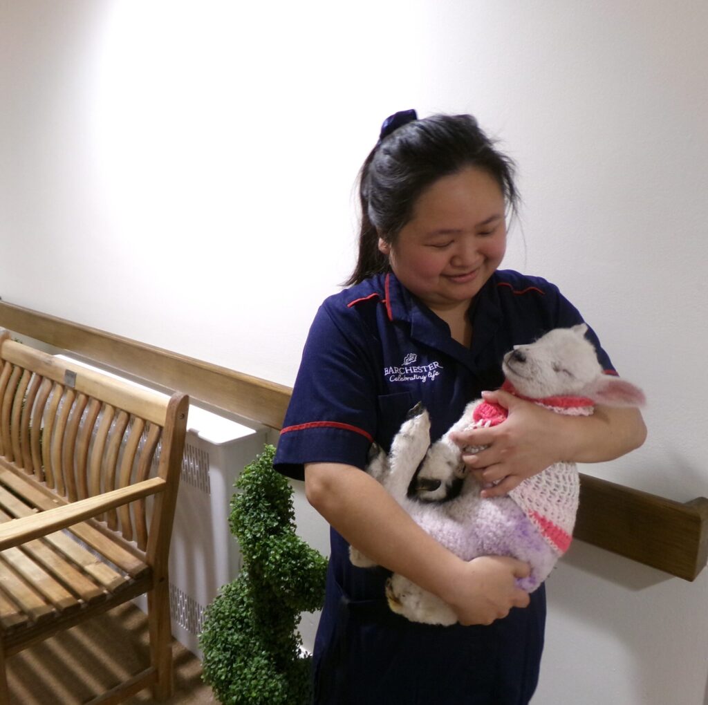 Image name Lambs 4 the 3 image from the post Baby Lambs Bring Joy to York Care Home Residents in Yorkshire.com.