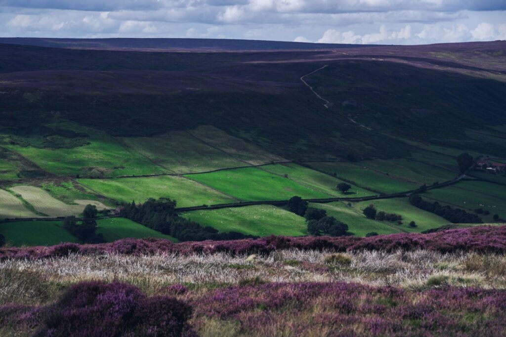Image name North York Moors landscape © Matthew Johnson the 9 image from the post North York Moors Chamber Music Festival Returns for Its 17th Year in Yorkshire.com.