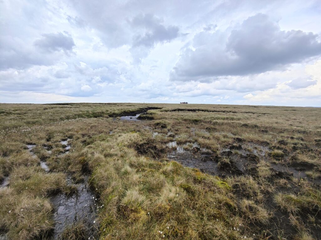 Image name Restoring the moor and its blanket bog is a priority for the Marsden Moor team the 3 image from the post National Trust to bring the moorland into Marsden with new education centre in 2025 in Yorkshire.com.