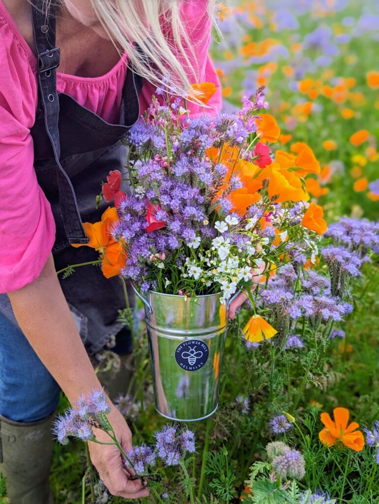 The Flower Belt gears up for biggest wildflower season yet in Helmsley Post image 5 Image name The Flower Belt 2 the 5 image from the post The Flower Belt gears up for biggest wildflower season yet in Helmsley in Yorkshire.com.