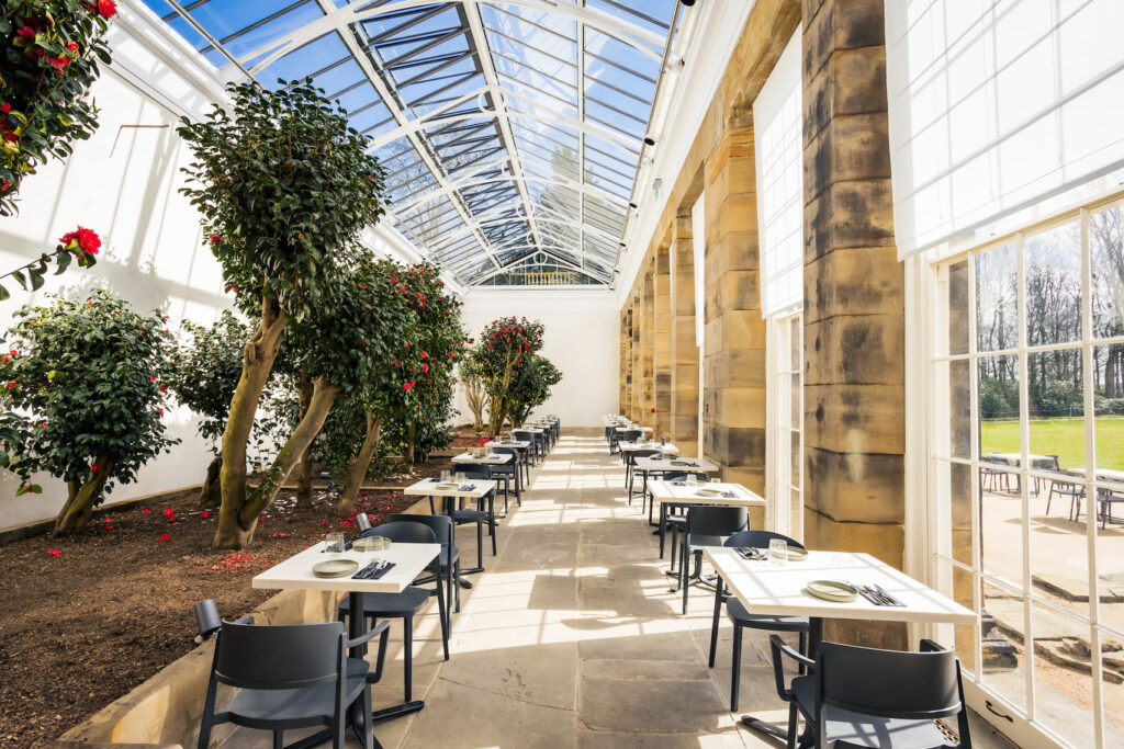A Blooming Triumph: Wentworth Woodhouse’s Camellia House Wins Prestigious European Heritage Award Post image 1 Image name Wentworth Camellia House after restoration Interior Image WWPT JPM24 3069 the 1 image from the post A Blooming Triumph: Wentworth Woodhouse’s Camellia House Wins Prestigious European Heritage Award in Yorkshire.com.
