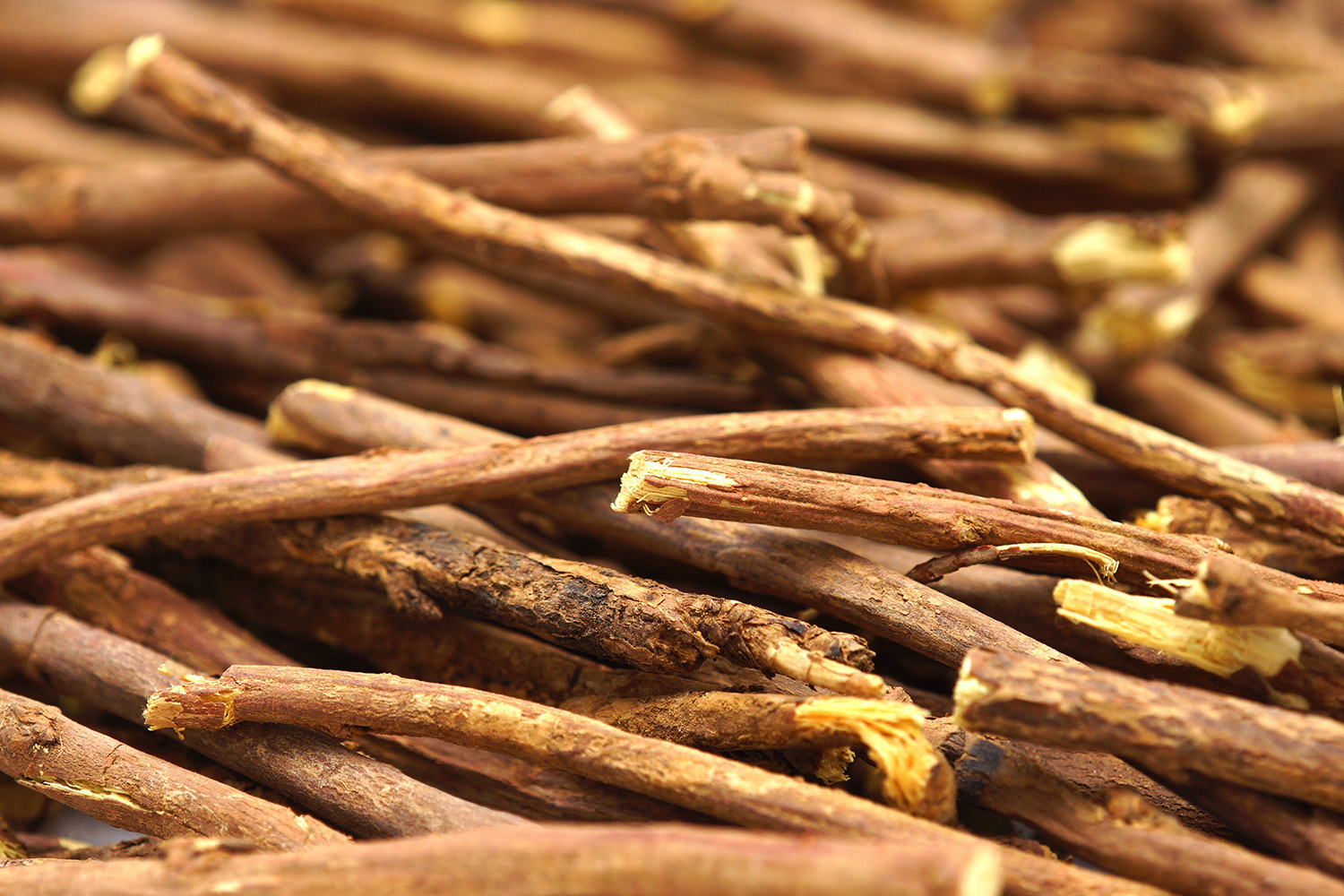 Image name licquorice root the 1 image from the post Sweet Treats Await at the Pontefract Liquorice Festival Food and Drink Trail in Yorkshire.com.