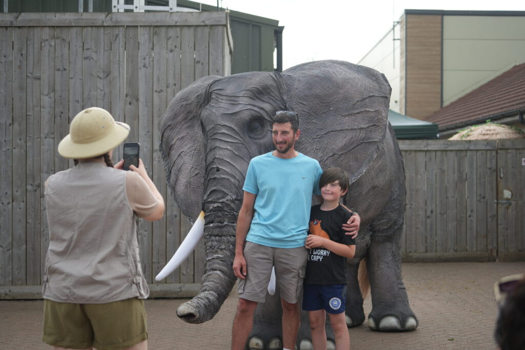 What's On at Yorkshire Wildlife Park for the Night Out at the Zoo Finale? Post image 4 Image name DSC09286 the 4 image from the post What's On at Yorkshire Wildlife Park for the Night Out at the Zoo Finale? in Yorkshire.com.