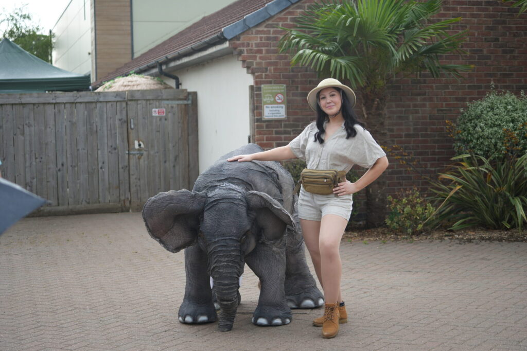 What's On at Yorkshire Wildlife Park for the Night Out at the Zoo Finale? Post image 5 Image name DSC09290 the 5 image from the post What's On at Yorkshire Wildlife Park for the Night Out at the Zoo Finale? in Yorkshire.com.