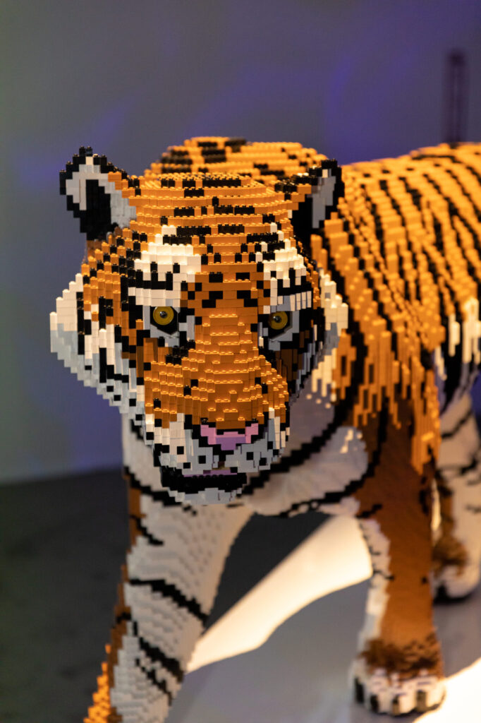 What Is The Art Of The Brick Lego Exhibition In Leeds This Summer? Post image 4 Image name The Art Of The Brick Fever 5 Aaron Schorch 7db562 the 4 image from the post What Is The Art Of The Brick Lego Exhibition In Leeds This Summer? in Yorkshire.com.