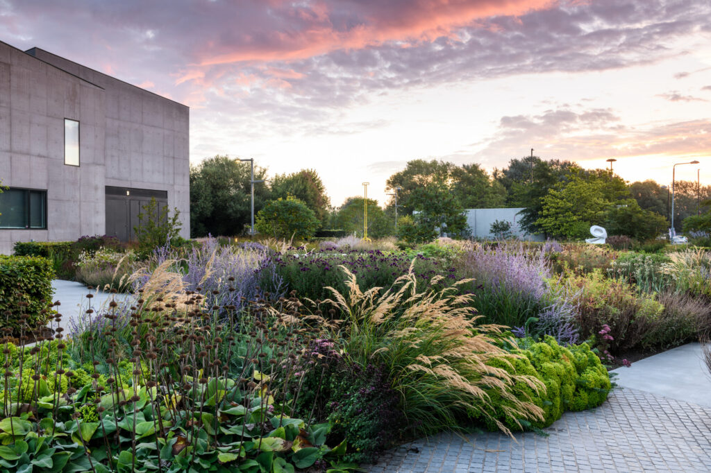 What's On At The Hepworth Wakefield Harvest Festival This Autumn 2025 In Yorkshire? Post image 1 Image name The Hepworth Wakefield Garden in September. Photo Jason Ingram the 1 image from the post What's On At The Hepworth Wakefield Harvest Festival This Autumn 2025 In Yorkshire? in Yorkshire.com.