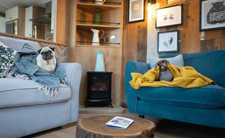 Image name featured image 68aca6ccb2a7b the 24 image from the post Offer: Up to 10% on dog-friendly breaks with Away Resorts in Yorkshire.com.