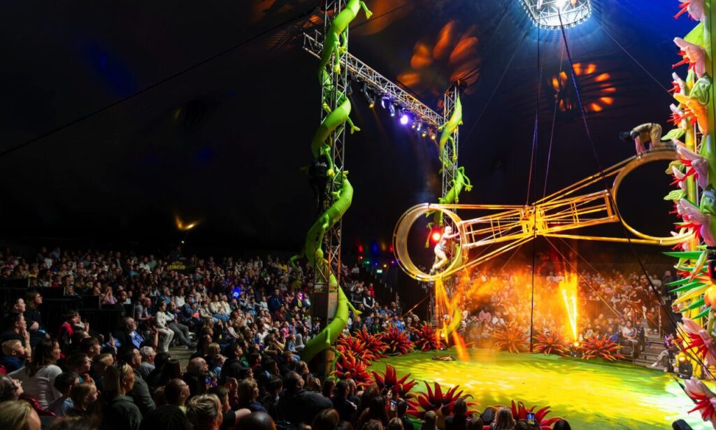 What Is The Big Kid Circus Kingdom Of Kong Anniversary Show At Xscape Yorkshire? Post image 1 Big Kid Circus