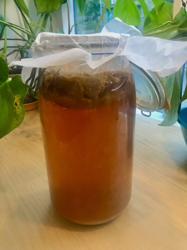 Kombucha Masterclass Event image 1 Image name kombucha the 1 image from the post Kombucha Masterclass in Yorkshire.com.