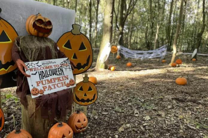 Image name unnamed 2025 09 30T134105.904 the 7 image from the post What Are The Best October Half Term Activities For Families At North Yorkshire Water Park in Yorkshire.com.