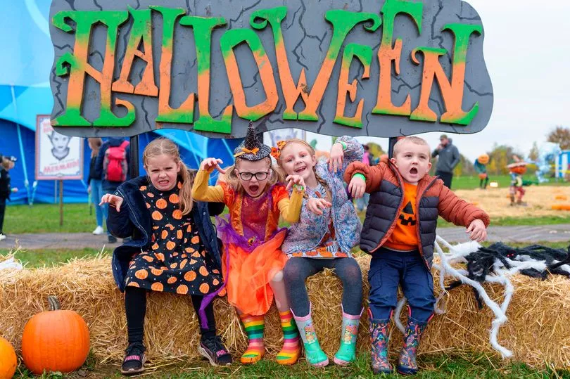 What's On At The Yorkshire Wildlife Park Halloween Extravaganza 2025? Post image 8 Image name 1 Lets Go Halloween 2024 the 8 image from the post What's On At The Yorkshire Wildlife Park Halloween Extravaganza 2025? in Yorkshire.com.
