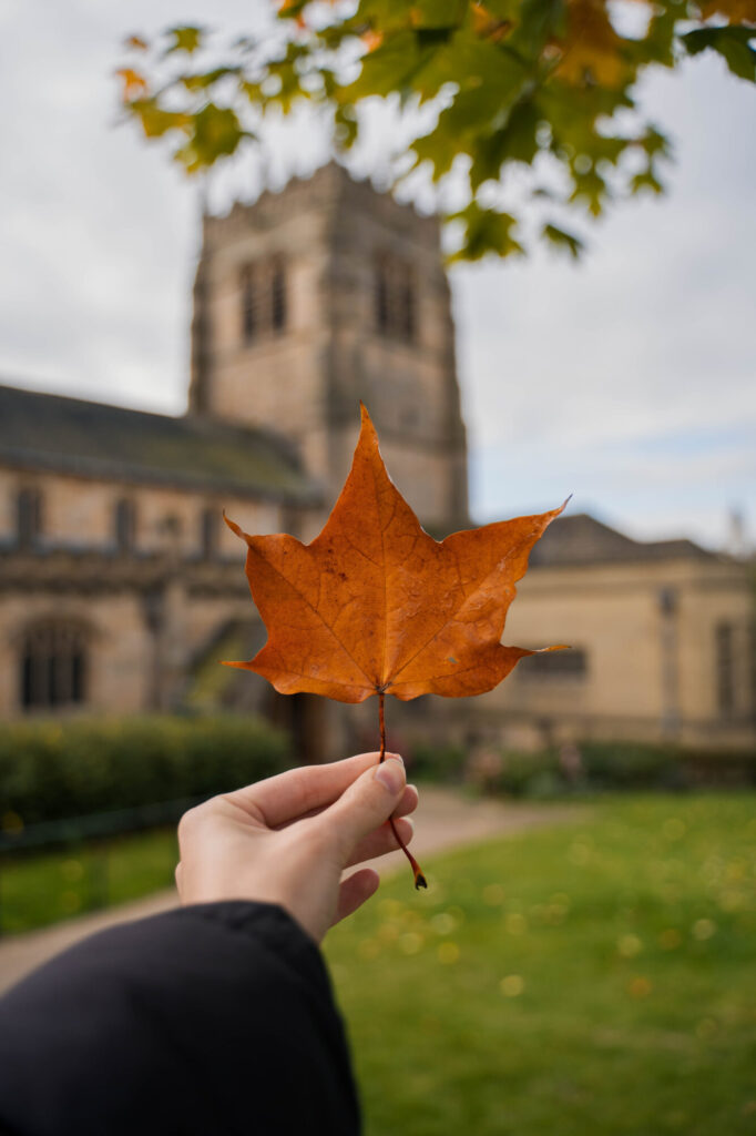 Free Family Activities at Bradford Cathedral this October Half-Term Post image 5 Image name DSC01889 the 5 image from the post Free Family Activities at Bradford Cathedral this October Half-Term in Yorkshire.com.