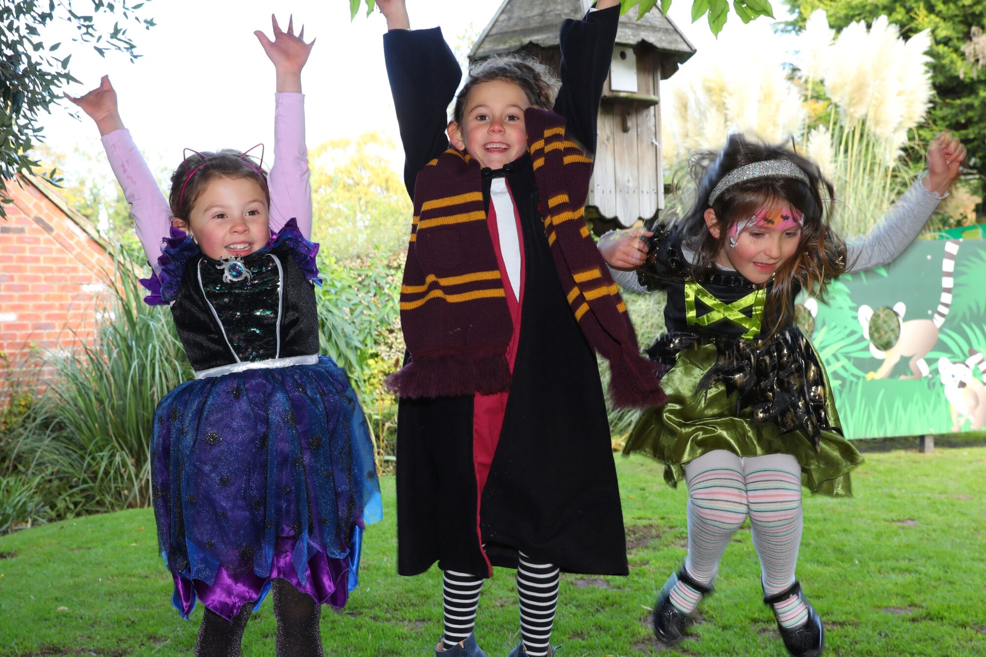 Image name Graduate from the School of Magic at Tropical Butterfly House the 1 image from the post What Is The Witches and Wizards Trail at Tropical Butterfly House Sheffield This Halloween 2025 in Yorkshire.com.