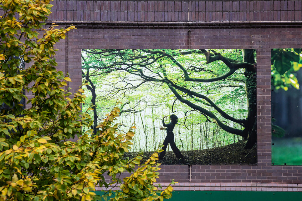 What is The Hardy and Free Photography Installation in Bradford? Post image 10 Image name Hardy and Free Andrew Benge3 the 10 image from the post What is The Hardy and Free Photography Installation in Bradford? in Yorkshire.com.