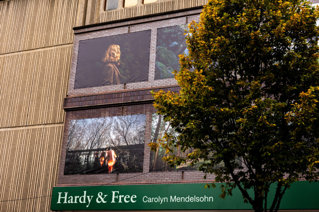 What is The Hardy and Free Photography Installation in Bradford? Post image 1 Image name Hardy and Free Andrew Benge7 the 1 image from the post What is The Hardy and Free Photography Installation in Bradford? in Yorkshire.com.