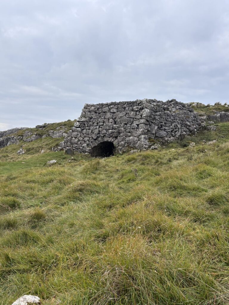 A look at the history of Old Pasture Lime Kiln, with Dr Emma Wells Post image 1 Image name IMG 7743 the 1 image from the post A look at the history of Old Pasture Lime Kiln, with Dr Emma Wells in Yorkshire.com.