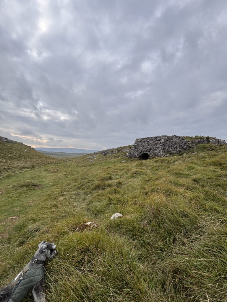 A look at the history of Old Pasture Lime Kiln, with Dr Emma Wells Post image 4 Image name IMG 7744 the 4 image from the post A look at the history of Old Pasture Lime Kiln, with Dr Emma Wells in Yorkshire.com.