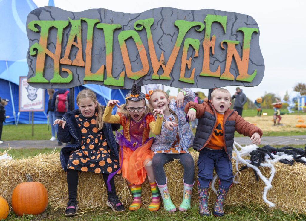 Image name YWP Lets Go Halloween 006 the 8 image from the post What's On For Halloween At Yorkshire Wildlife Park? in Yorkshire.com.