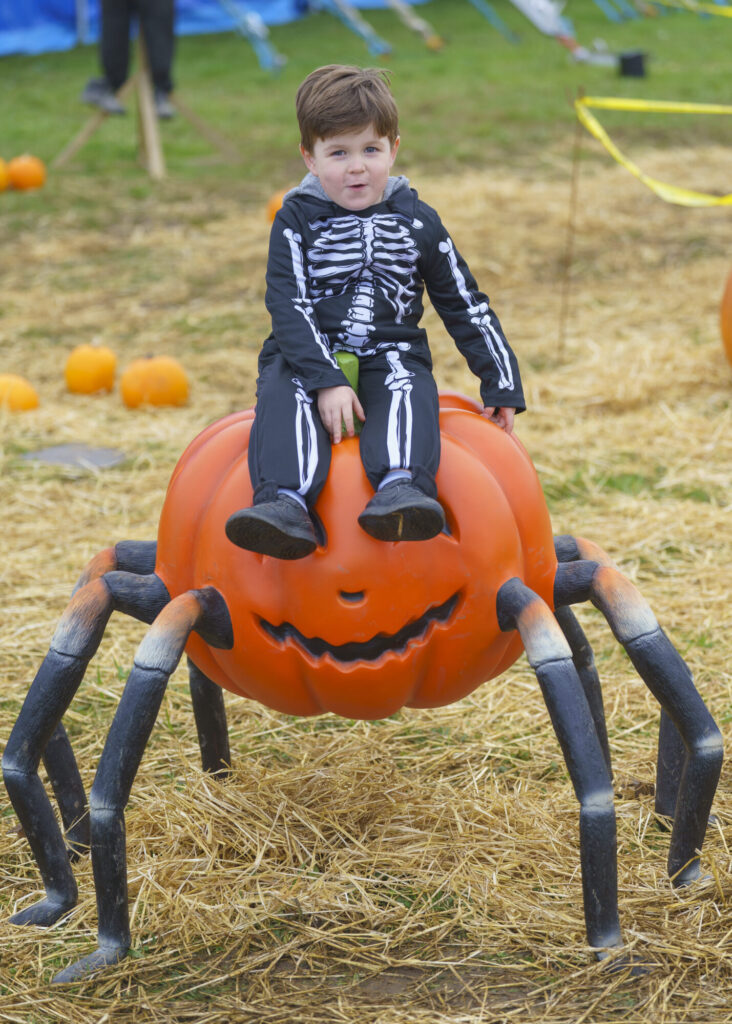 Image name YWP Lets Go Halloween 026 the 14 image from the post What's On For Halloween At Yorkshire Wildlife Park? in Yorkshire.com.