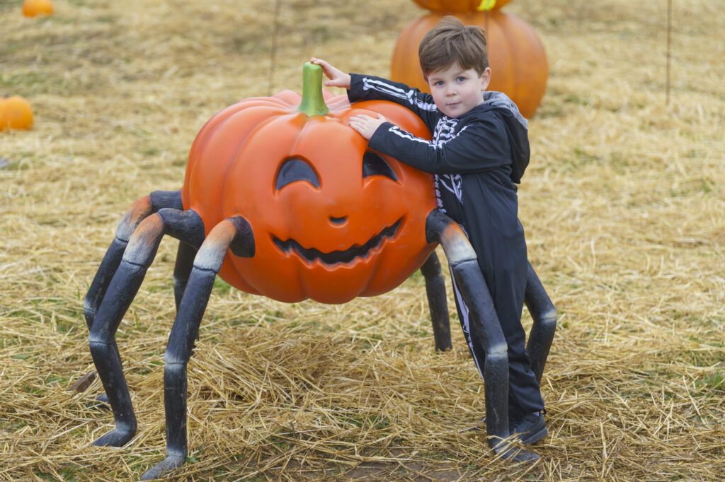 Image name YWP Lets Go Halloween 027 the 15 image from the post What's On For Halloween At Yorkshire Wildlife Park? in Yorkshire.com.