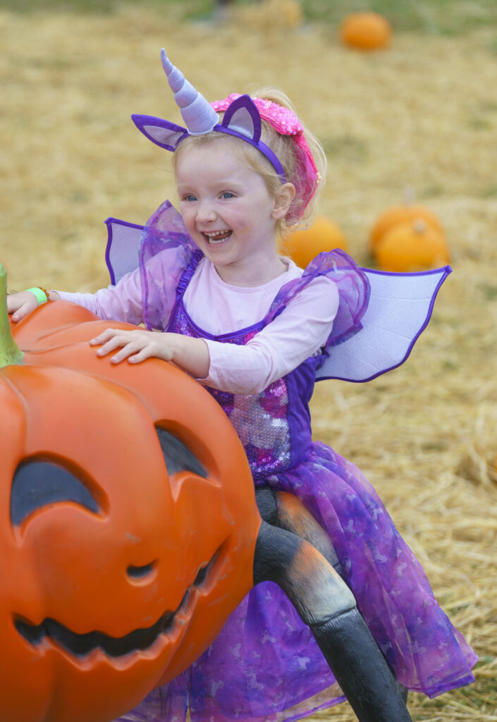 Image name YWP Lets Go Halloween 030 the 17 image from the post What's On For Halloween At Yorkshire Wildlife Park? in Yorkshire.com.
