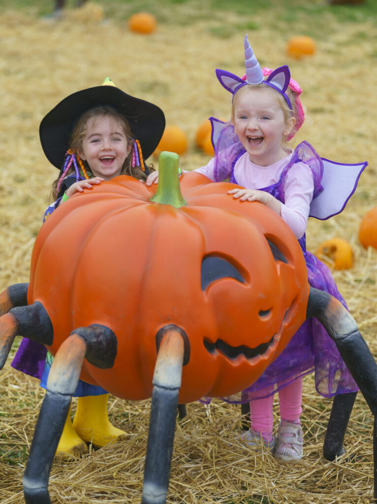 Image name YWP Lets Go Halloween 031 the 18 image from the post What's On For Halloween At Yorkshire Wildlife Park? in Yorkshire.com.